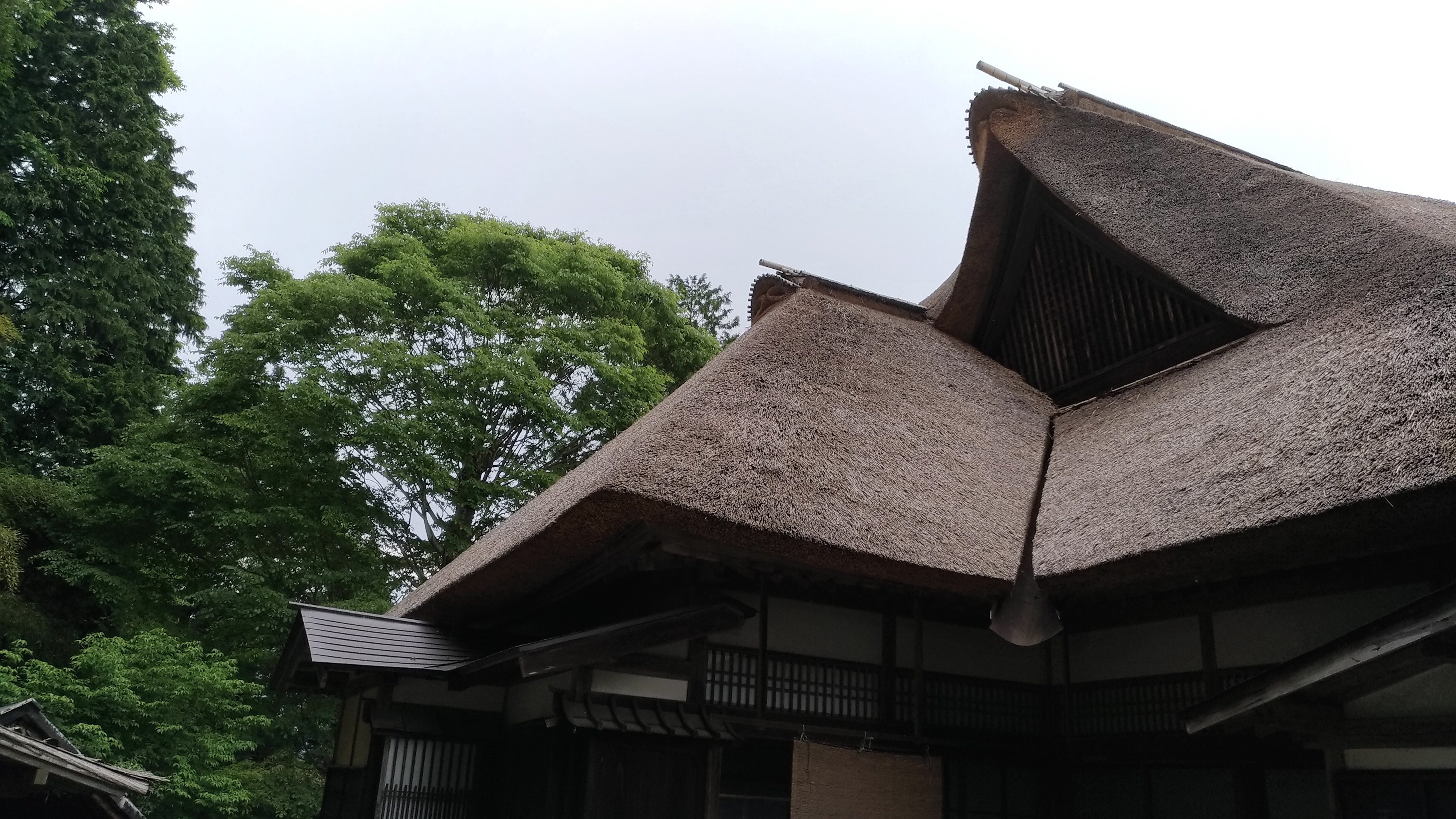 P_20190531_120649_vHDR_On