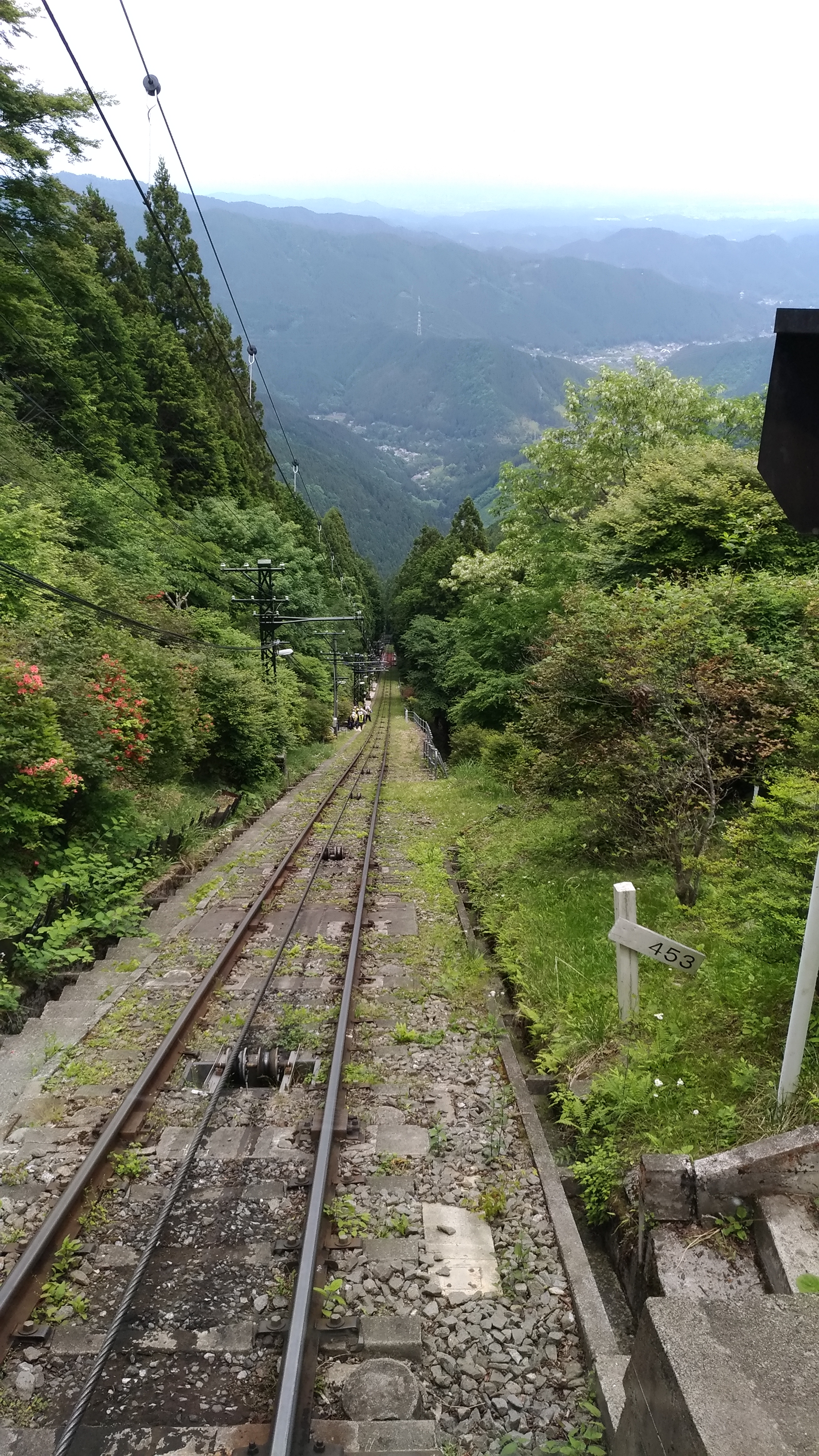 P_20190531_115154_vHDR_On